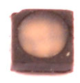 SINGLE LED FOR DS4