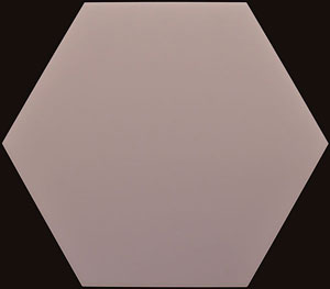 SOI FROST PANEL FOR 3D VISION